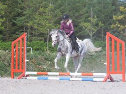 IMG_0596_web